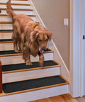 Set of 15 Skid Resistant Double Ribbed Carpet Stair Treads Smokey Black 9x36 Inches Non Slip Backing Safe Steps with dog walking down