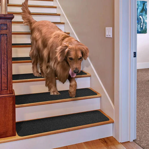 Set of 15 Skid Resistant Double Ribbed Carpet Stair Treads Smokey Black 9x36 Inches Non Slip Backing Safe Steps with dog walking down