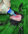 Vet Tissue Adhesive For Pets Fast Acting Wound Glue 0.1 Oz 3 Ml being applied on pet wound during surgery, blue tint visible.