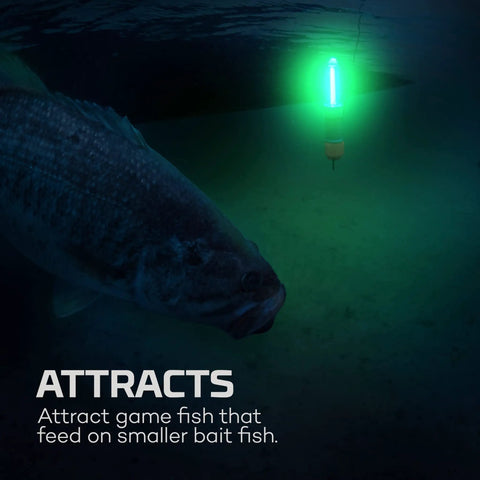 Submerser 500 Underwater Fishing Light 360 Degree Green LED illuminating underwater to attract fish at night with visible fish nearby.