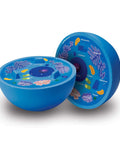 Cross Section Animal Cell Model Kit For Hands On Biology 3D Foam Cell With Labeled Organelles And Blank Quiz Side STEM Classroom Tools