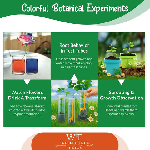 Colorful botanical experiments from Awesome Plant Growing Science Kit For Kids with 19 Real Botany Experiments
