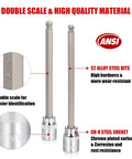 Double scale S2 steel bits and CR-V socket from Three Eighths Inch Drive Long Ball End Hex Socket Set