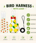 Two Pack Pigeon Diaper Pants Harness And Leash For Birds Pigeon Diapers For Pigeons XL Fit Chest Girth About Four Inches