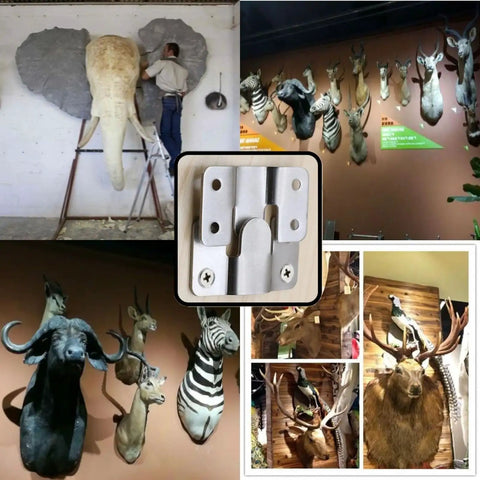 Built To Last Beefy Stainless Steel Flush Mount Bracket Set With animals framed in gallery using Z clips