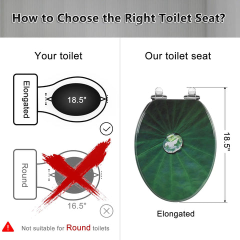 Diagram illustrating fit of Elongated Toilet Seat With Quiet Close Hinges, MDF Wood, Lotus Leaf Finish for elongated toilets.