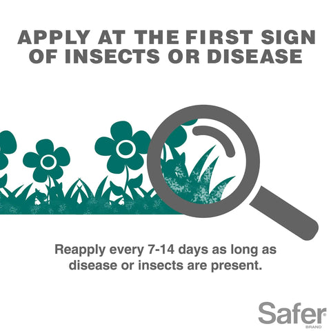 Illustration emphasizing first sign application of All In One Neem Oil Concentrate Garden Spray For Plants Insecticide Miticide And Fungicide