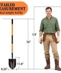 Beastly Heavy Duty Steel Digging Shovel with Fiberglass Handle, 56 Inch Long, Large Blade, beside a man for scale