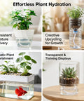 Collage showing self watering rope for plants in various containers for consistent moisture and aquatic plant nourishment