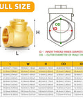 Brass 3/4 in NPT horizontal swing check valve for backflow prevention (front view)