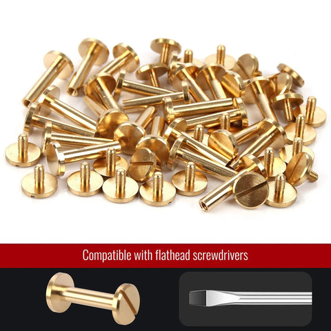 Premium Brass Chicago Binding Screws 4mm X 18mm With 10mm Phillips Nuts 25 Piece, close-up of durable gold screws.