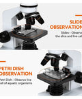 Epic Biological Microscope for Home Learning with Slides Set and Phone Adapter, shown with slides and petri dish observation.