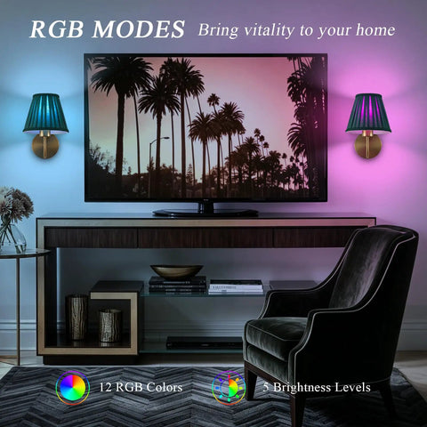 EIDISUNY Battery Operated Wall Sconces, Rattan Wall Sconce Set of 2 illuminated in RGB colors beside a TV in a stylish living room.