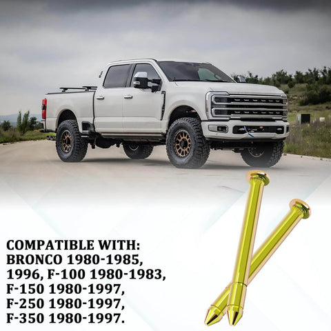 Door Hinge Pin And Bushing Repair Kit For Ford Bronco And F Series F 100 F 150 F 250 F 350 Upgrade Replacement in front of truck