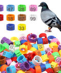100 Pcs 8mm Birds Leg Rings Set With 10 Colors And Readable Numbers 0 To 100 Easy Clip On Identification Bands For Quail Pigeons Chicks