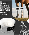 4 Pack Fleece Lined Horse Kickin And Pawing Training Chains with adjustable stainless steel chains and nylon outer webbing