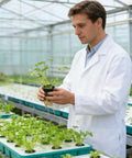 Scientist examining plant in 2 Inch Aeration Cups Net Pots For Hydroponics With Slotted Mesh Pro Grade Heavy Duty Grow Basket in greenhouse.