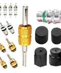 16 Pcs Air Conditioning Valve Core Kit with R134A and R12 Cores, removal tool, pressure caps, universal repair accessories