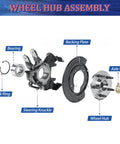 Exploded view of wheel hub assembly parts including lock ring, bearing, steering knuckle, backing plate, axle nut.