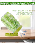Sprouting Jar Kit For Homegrown Sprouts With Mason Jar Sprouter, stainless lid, blackout sleeves, and drain tray at 45-degree tilt