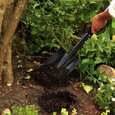 Heavy Duty 31 Inch Shovel With D Handle For Camping And Digging in garden soil, black metal spade used for quick work