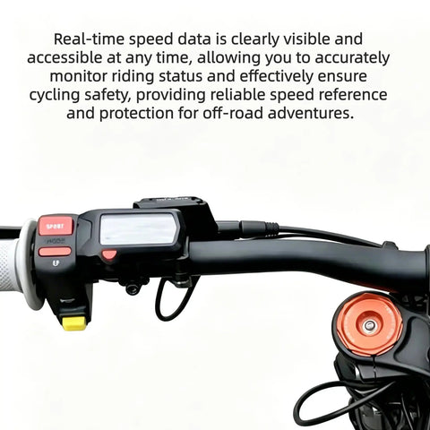 Direct Replacement Digital Speedometer With Hour Meter For Light Bee X And Light Bee S Electric Dirt Bike, Real Time Speed Display In KmH With Odometer And Total Ride Time On Large LCD
