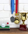Clear Acrylic Golf Ball Display Case With Wood Base Dustproof Transparent Holder For Souvenir Golf Balls One Hole Design