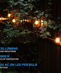 Warm White 50ft Low Voltage String Lights With 10 2W Bulbs, 135 Lumens Each, 2800K along garden fence at night