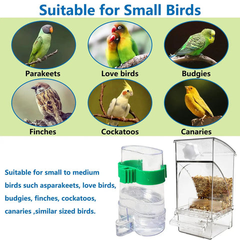 Hassle Free Bird Feeder And Water Dispenser Set Featuring Clear Acrylic Jar and Secure Perch for Parakeets, Budgies, and Lovebirds.