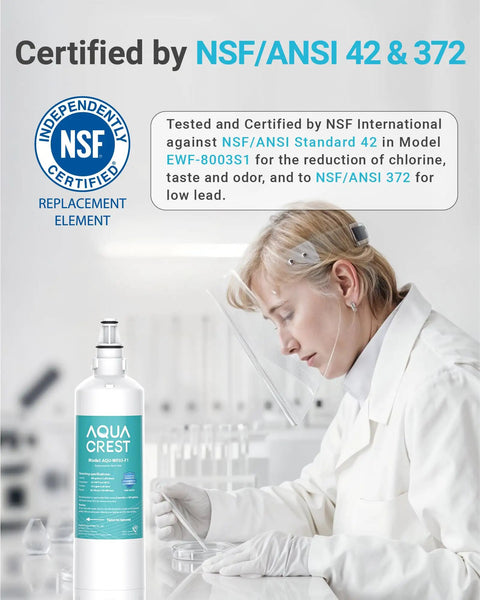 Scientist testing water filter certified by NSF/ANSI 42 & 372 with Water Filter Replacement For InSinkErator F 1000 F 2000 And F 3000.