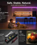 Interior lit by Ultra Bright Dual Row RGB CCT Flexible LED Strip Lights 270 LEDs Per Meter 5050 RGB And 2835 with dog and child in view