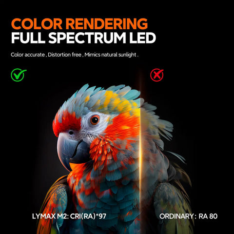 Parrot under full spectrum LED showing color rendering comparison, illustrating Monitor Light Bar Dimmable USB Lamp With Eye Care Tech