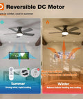 42 Inch Low Profile Ceiling Fan With Light And Remote Dope Airflow, Flush Mount, Reversible Blades showing summer and winter modes
