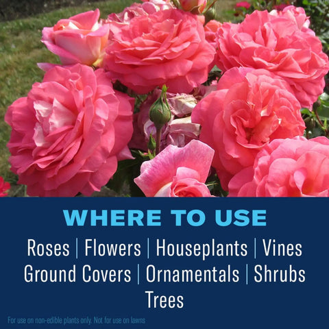 Image of blooming roses with text indicating usage for 3 In 1 Insect Disease And Mite Control Spray Ready To Use For Plants Kills Armyworms