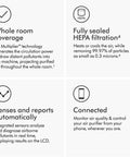 Infographic detailing features of Hot And Cool HP07 Air Purifier With Heater And Fan, All In One Climate Control, Auto Pollutant Sensor