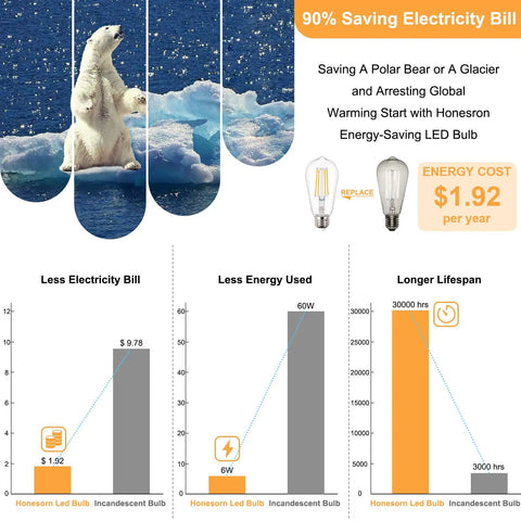 Infographic on energy savings with LED bulbs featuring polar bear and electricity cost comparison with incandescent bulbs.