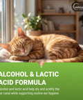 Gentle Ear Cleaning Solution For Cats And Dogs, Easy To Use Drops That Remove Dirt And Debris, orange cat sleeping by window