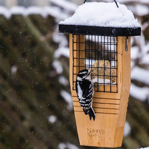Tail Prop Suet Bird Feeder With Rust Free Mesh And Hanging Cable Built For Large Woodpeckers Like Pileated Backyard Friendly Brown Feeder With Durable Construction 12 Inch High 7.875 Inch Long 3 Inch Wide, shown with a woodpecker feeding on suet, outdoor winter setting.