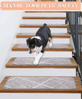 Dog walking down stairs with No Slip Stair Treads Carpet Self Adhesive Gray Staircase Mats Set Of 13 8x30 Inch.
