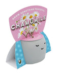 Peaceful Face Planter Grow Kit 3 Pack With Aloe Moss Rose And Chamomile Seeds Growing Medium Included Cute Indoor Desk Planters