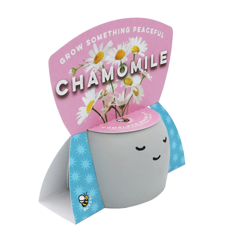 Peaceful Face Planter Grow Kit 3 Pack With Aloe Moss Rose And Chamomile Seeds Growing Medium Included Cute Indoor Desk Planters