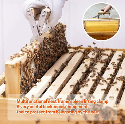 Beekeeping Frame Gripper and Frame Lifter Tool Stainless Steel Frame Holder With Wood Handle lifting a bee-covered frame.