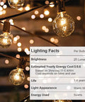 100 Ft Outdoor Globe String Lights With 110 G40 Bulbs, Weatherproof Lit Patio Party Lights For Tents Gazebos Porches Decks Year Round