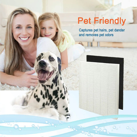 Pet-friendly Replacement Filter S For Winix C545 Air Purifier, H13 Grade Main Filter Plus Activated Carbon, 4-Pack in room.