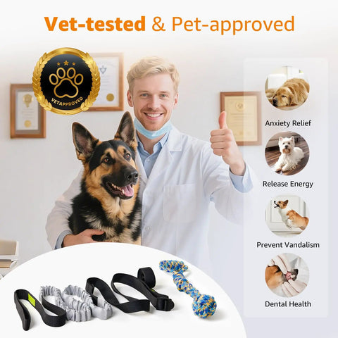 Vet with dog endorsing Outdoor Bungee Tug Toy For Dogs Tree Hanging Rope Tug Interactive Chew Rope Adjustable Height
