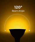 Amber Outdoor Bug Light Bulbs PAR38 LED Flood Light 2 Pack featuring 120-degree beam angle glowing warm yellow