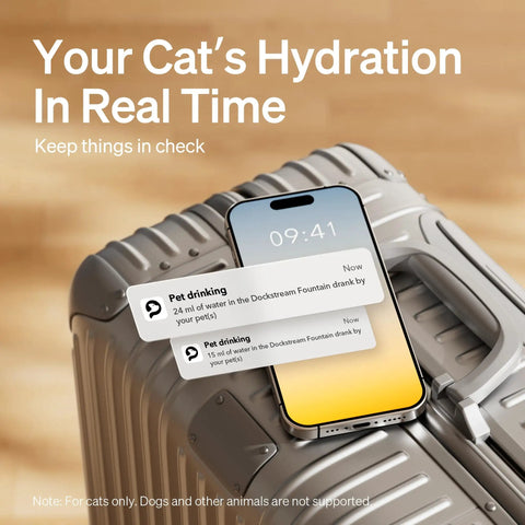 Smart Cat Water Fountain With App Monitoring And Stainless Steel Tray, 2.5L Automatic Water Dispenser shown on smartphone display
