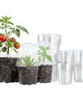 Clear Nursery Pots Set 36 Pack With Humidity Domes 3.5 Inch 4 Inch 5 Inch Seedling Pots with plants, soil, and drainage holes