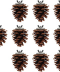 10 Pack Real Pine Cone Bird Chew Toys With Sturdy Mounting Nuts for parakeets, showcasing detailed pine cone texture and metal mounts.