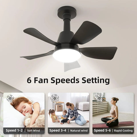 Lit 2 In 1 Socket Ceiling Fan With Light And Remote, black fan with LED light, 6 speed settings, mounted on ceiling.